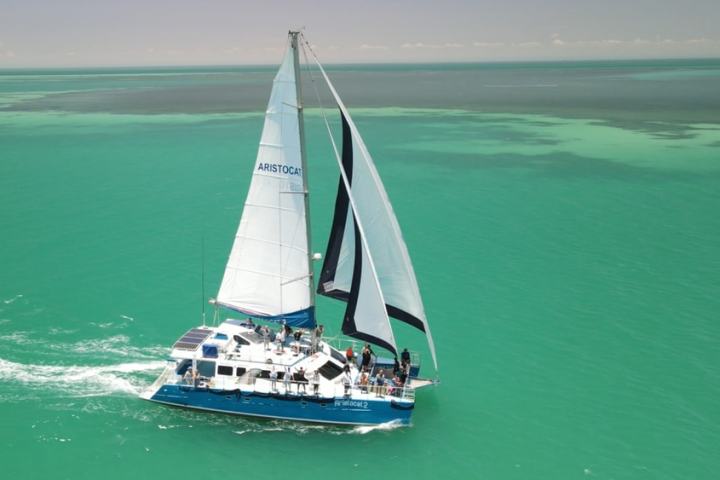 Sailboat with white sails on turquoise water under a clear sky.