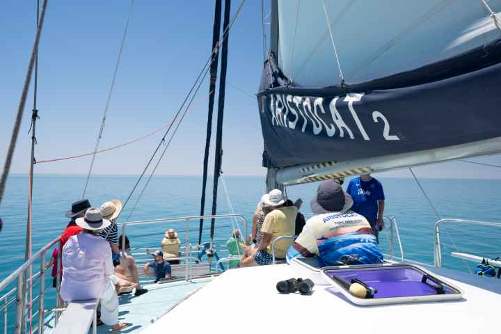 People relaxing on a sailing catamaran with a clear blue sky and ocean.