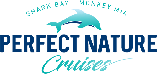 Perfect Nature Cruises