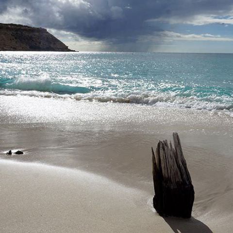 a group of people on a beach near a body of water