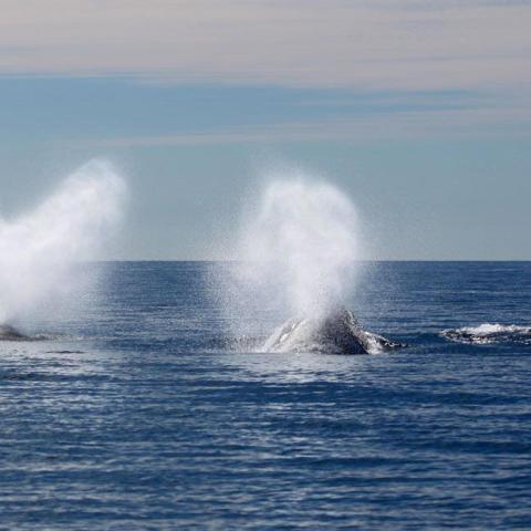 a body of water with smoke coming out of the ocean
