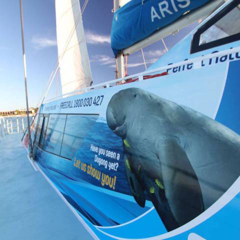 a blue and white plane sitting on top of a boat