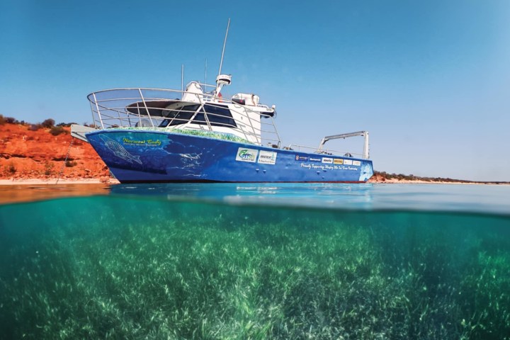 Blue boat on clear water with underwater view of seagrass, red rocky shoreline in background.