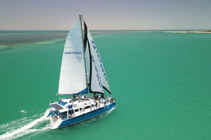 Sailboat with a blue hull sailing in turquoise waters on a clear day.