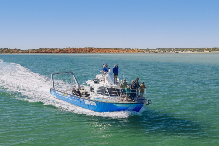 Small boat with people sailing in clear waters near a sandy shore.